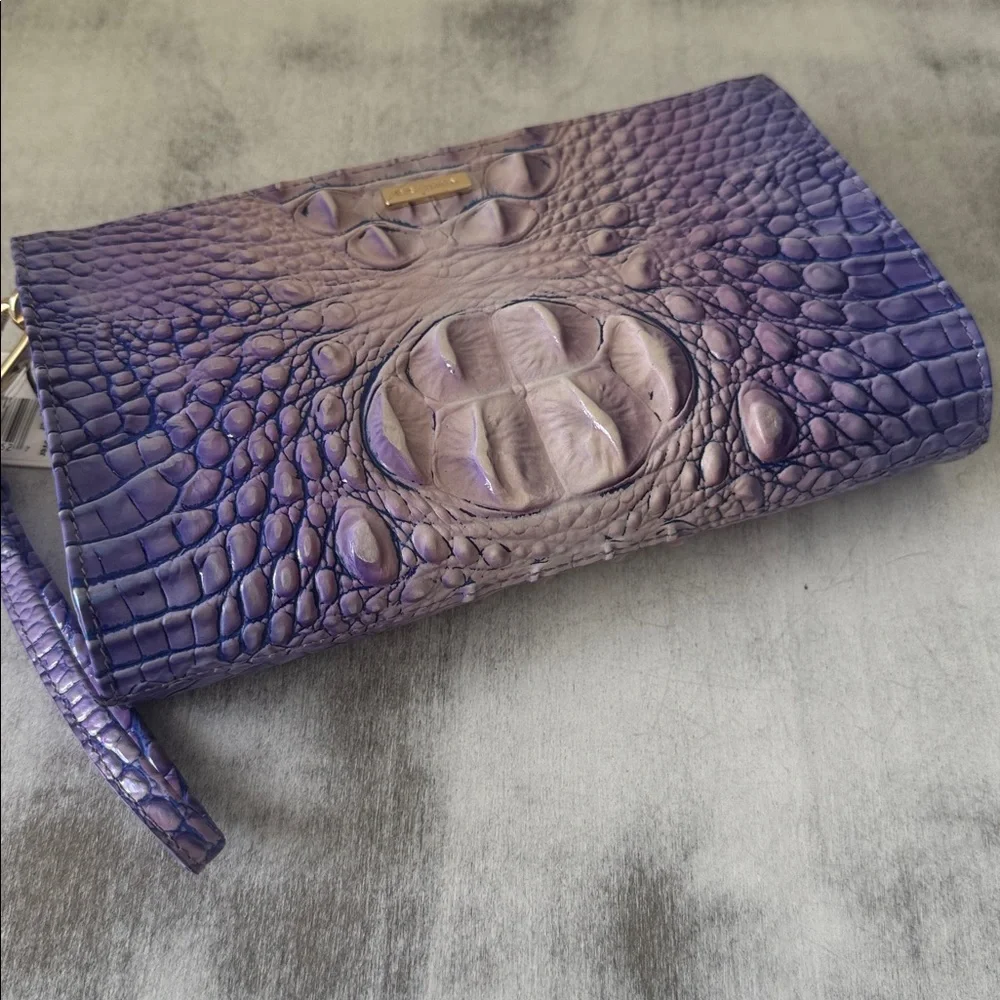 Brahmin daisy very